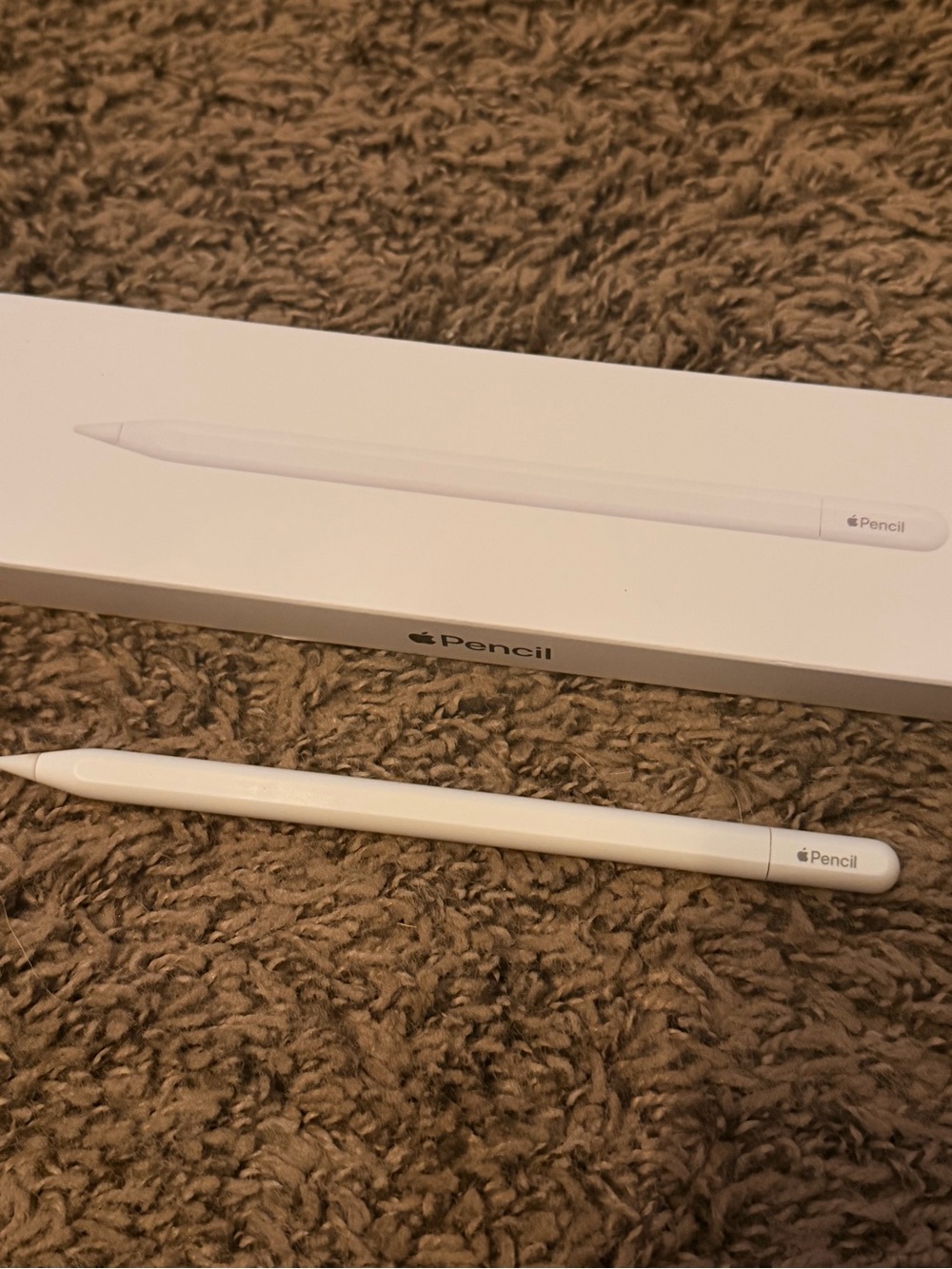 Apple Pencil (USB-C) White Stylus
